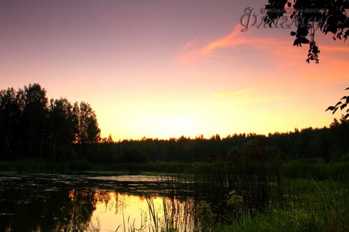 IMG_9488_r
