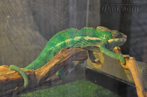 DSC_4388_r