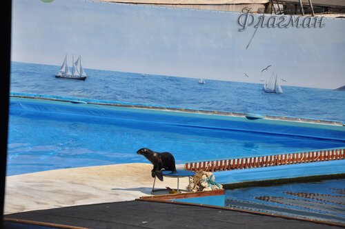 DSC_4391_r
