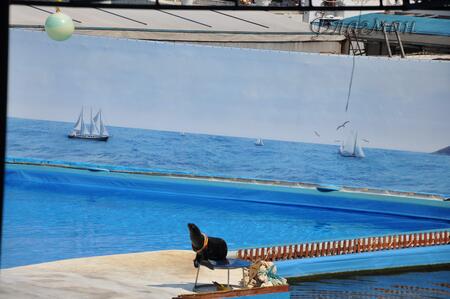 2011_08_09-24_Sevastopol