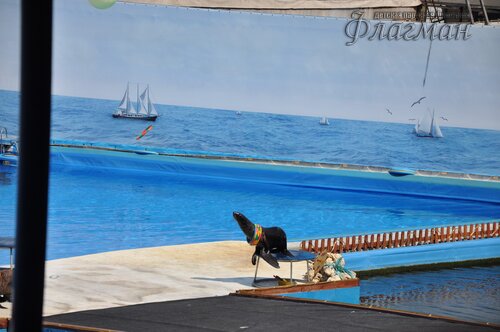 DSC_4400_r