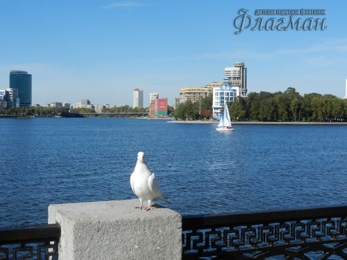 DSCN2437_r