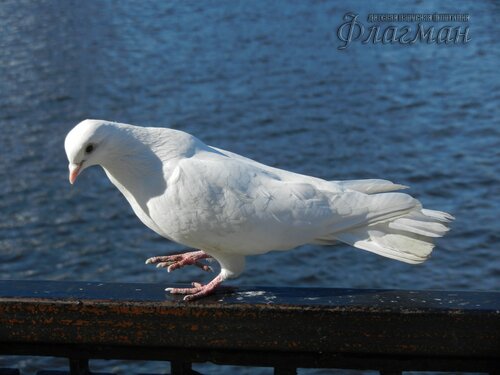 DSCN2439_r