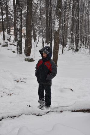 2011_10_30_Sem_bratiev