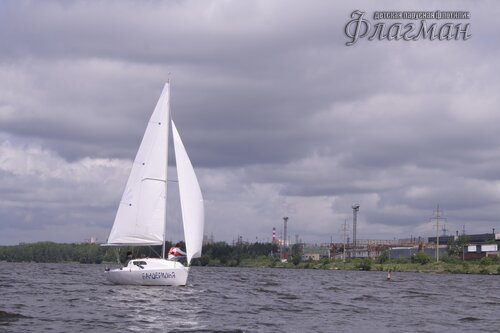 IMG_2319_r