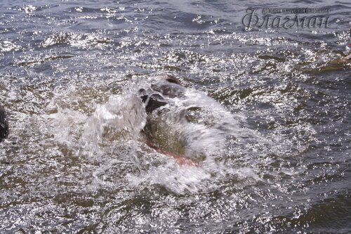 IMG_2659_r