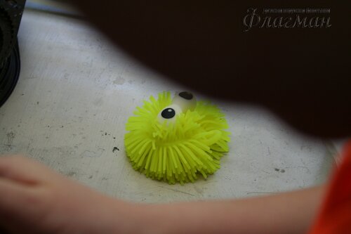 IMG_5544_r