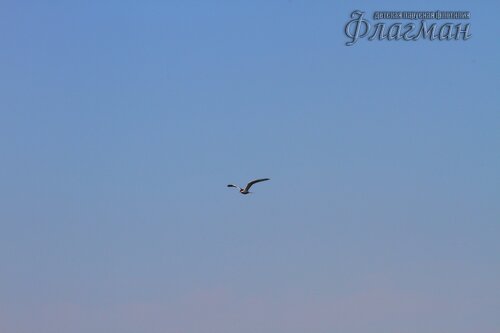 IMG_3862_r