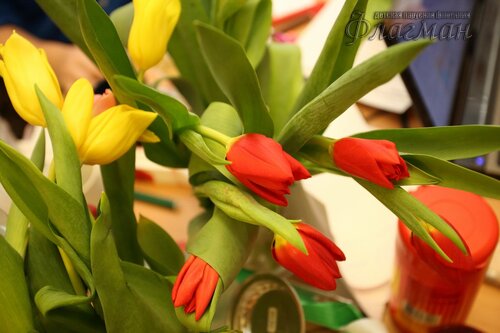 IMG_3770_r