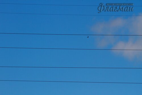 IMG_5282_r