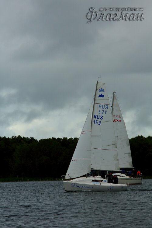 YE1A2006