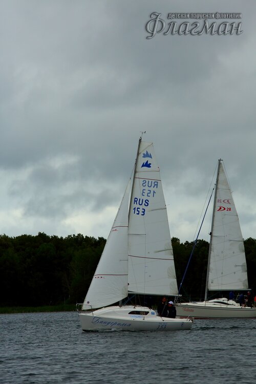 YE1A2007