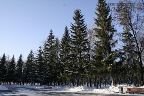 IMG_3425_r