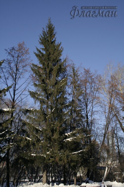 IMG_3465_r