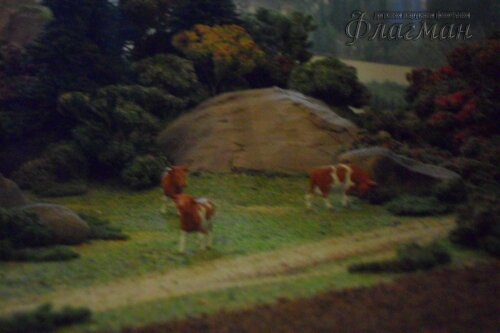 SAM_0092_r