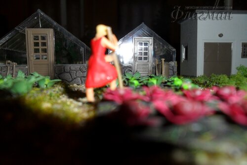 SAM_0156_r