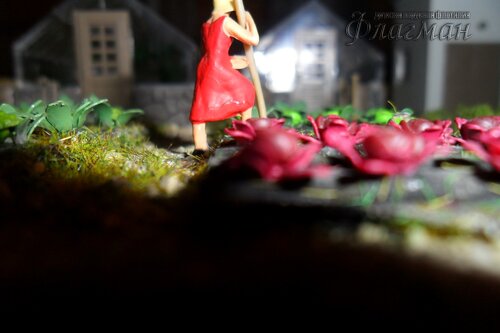 SAM_0157_r