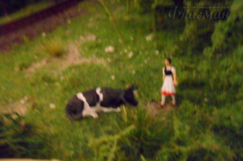 SAM_0180_r