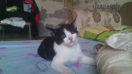 Кулагин Кирилл