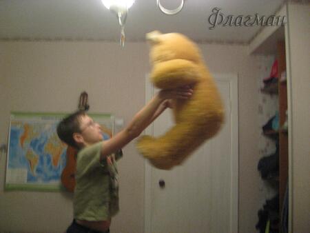 Эйва Максим