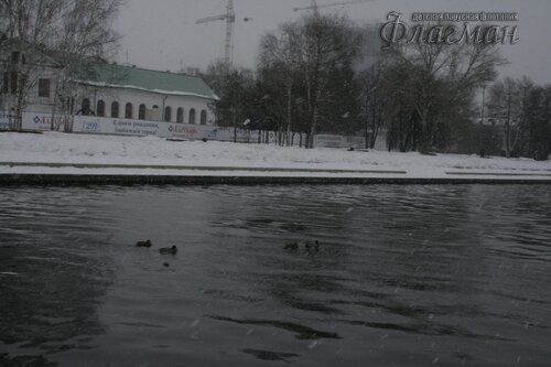 _MG_5314_r