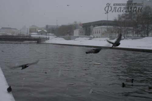 _MG_5397_r