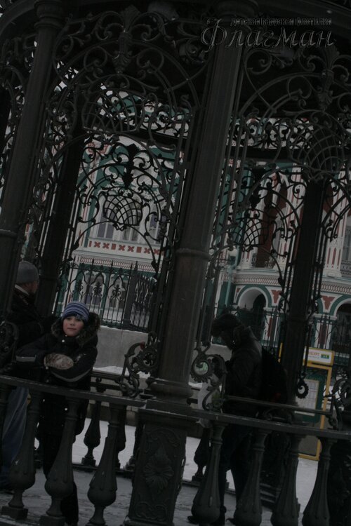 _MG_5431_r