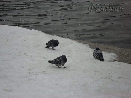 SAM_0437_r