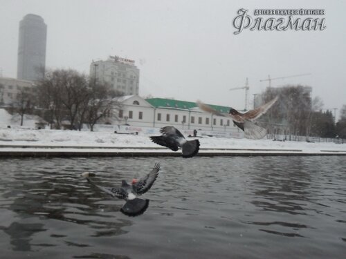 SAM_0445_r