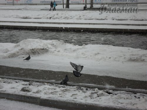 SAM_0461_r