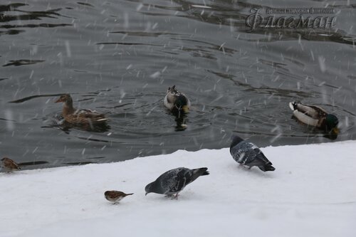 IMG_7570