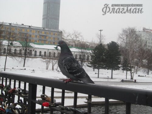 IMG_7789_r