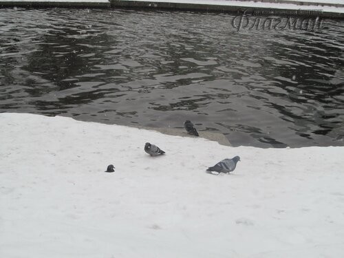 IMG_7792_r