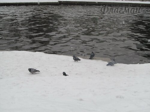 IMG_7793_r