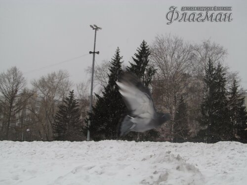 IMG_7807_r