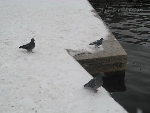 IMG_7808_r