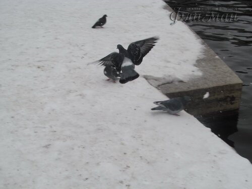 IMG_7811_r