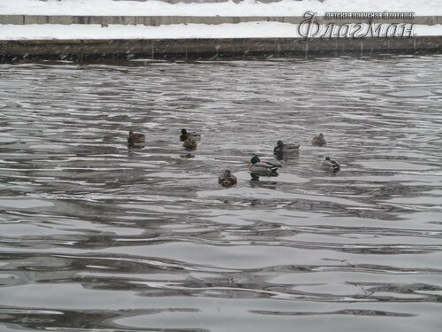 IMG_7813_r