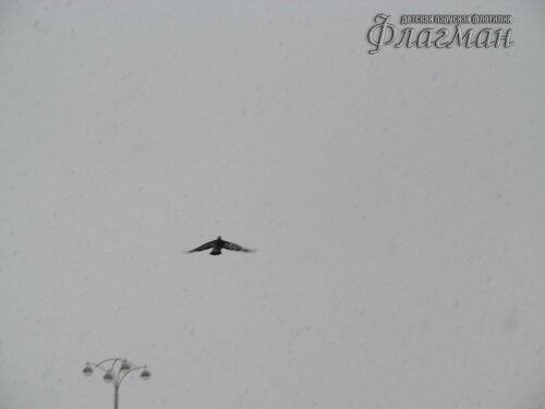 IMG_7819_r