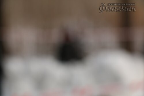 IMG_8301_r