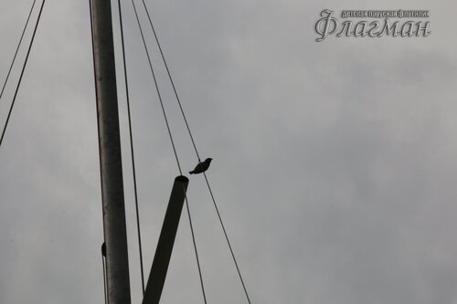 IMG_2586