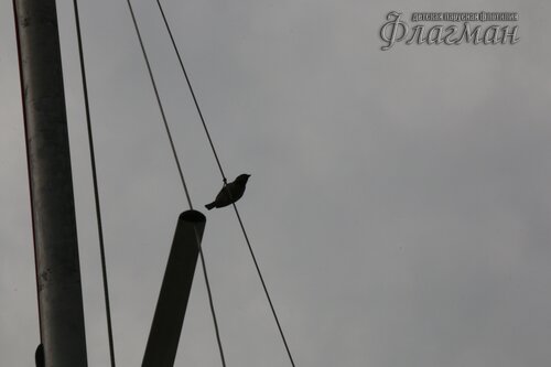 IMG_2587