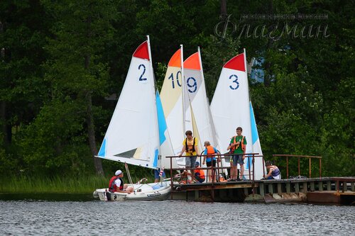 YE1A2011