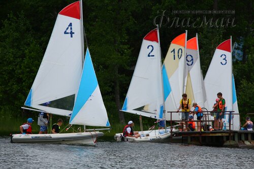 YE1A2013