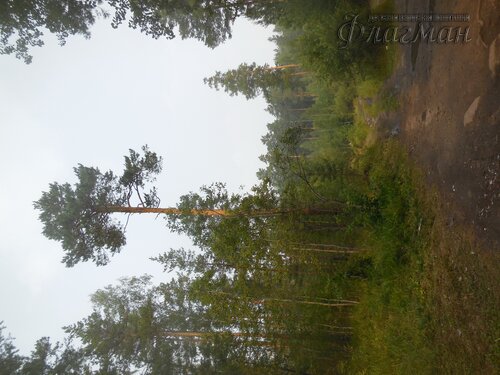 DSCN2221_r