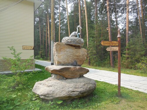 DSCN2229_r