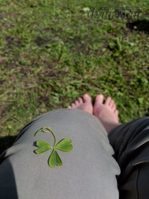 Берег весёлых Робинзонов 2017