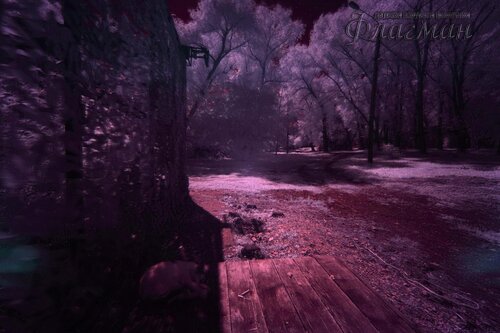 Берег весёлых Робинзонов 2017