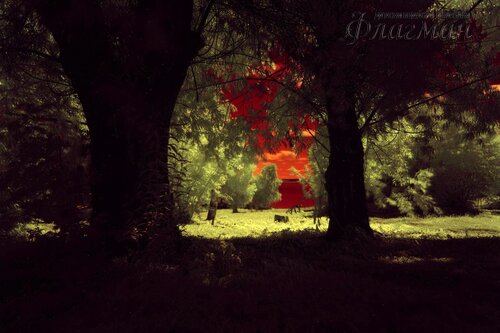 Берег весёлых Робинзонов 2017