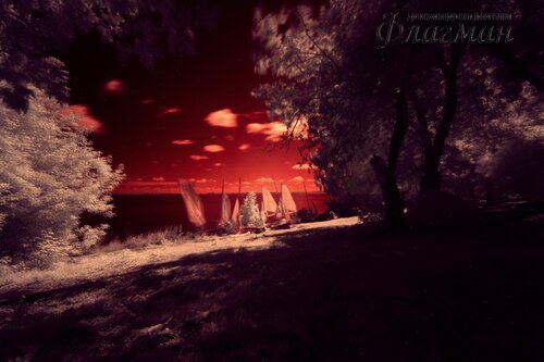 Берег весёлых Робинзонов 2017